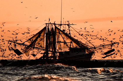 Test𝒜𝓈𝒽𝒾𝓈𝒽 𝒞𝑜𝓂𝓅𝒶𝓃